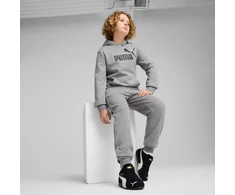 Puma Kelnės Paaugliams Ess No. 1 Logo Sweatpants Pilkas 684914 03