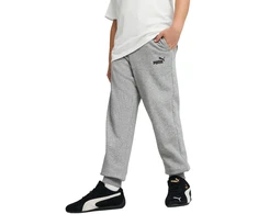 Puma Kelnės Paaugliams Ess No.1 Logo Sweatpants Fl Light Pilkas 684912 03