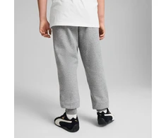 Puma Kelnės Paaugliams Ess No.1 Logo Sweatpants Fl Light Pilkas 684912 03