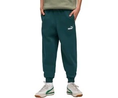 Puma Kelnės Paaugliams Ess No.1 Logo Sweatpants Fl Dark Žalias 684912 75