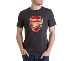 Puma Marškinėliai Afc Fan Tee - Crest Q3 Pilkas 749297 12