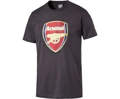 Puma Marškinėliai Afc Fan Tee - Crest Q3 Pilkas 749297 12