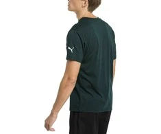 Puma Marškinėliai Energy Triblend Tee Pondero Žalias 517320 06