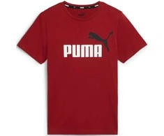 Puma Marškinėliai Paaugliams Ess+ 2 Col Logo Tee Bordo 586985 14