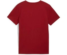 Puma Marškinėliai Paaugliams Ess+ 2 Col Logo Tee Bordo 586985 14