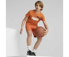 Puma Marškinėliai Paaugliams Ess+ 2 Col Logo Tee Oranžinis 586985 95