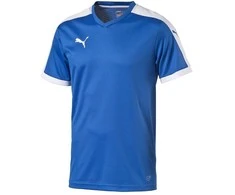 Puma Marškinėliai Paaugliams Pitch Shortsleeved Shirt Mėlyna