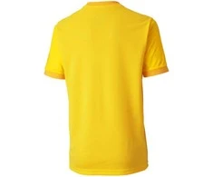 Puma Marškinėliai Paaugliams TeamGoal 23 Jerse Geltona 704160 07