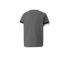 Puma Marškinėliai Paaugliams TeamRise Jersey Pilkas 704938 13