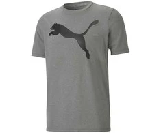 Puma Marškinėliai Vyrams Active Big Logo Tee Pilkas 586724 09