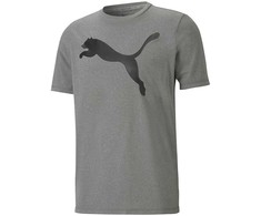 Puma Marškinėliai Vyrams Active Big Logo Tee Pilkas 586724 09