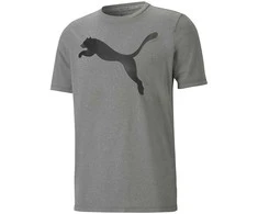 Puma Marškinėliai Vyrams Active Big Logo Tee Pilkas 586724 09