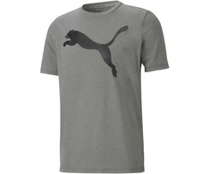 Puma Marškinėliai Vyrams Active Big Logo Tee Pilkas 586724 09