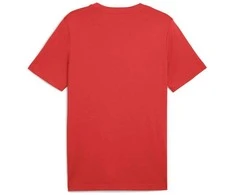 Puma Marškinėliai Vyrams Ess 2 Color Small No. 1 Logo Tee Raudona 684717 15
