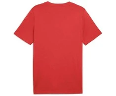 Puma Marškinėliai Vyrams Ess 2 Color Small No. 1 Logo Tee Raudona 684717 15