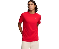 Puma Marškinėliai Vyrams Ess Elevated Tee Raudona 692054 11