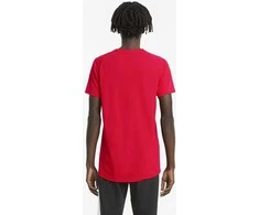 Puma Marškinėliai Vyrams Evostripe Tee Hig Raudona