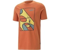 Puma Marškinėliai Vyrams Graphics Court Tee Chili Oranžinis 674481 94