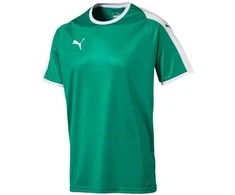 Puma Marškinėliai Vyrams Liga Jersey Pepper Žalias 703417 05