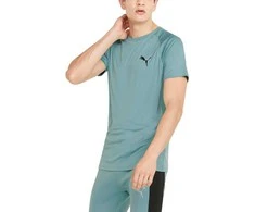 Puma Marškinėliai Vyrams Rtg Tee Mineral Žalias 585827 50