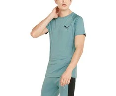 Puma Marškinėliai Vyrams Rtg Tee Mineral Žalias 585827 50