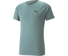 Puma Marškinėliai Vyrams Rtg Tee Mineral Žalias 585827 50