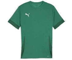 Puma Marškinėliai Vyrams TeamGoal Matchday Jersey Žalias 705747 05