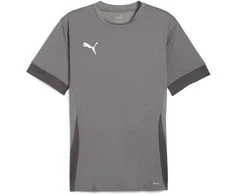 Puma Marškinėliai Vyrams TeamGoal Matchday Jersey Pilkas 705747 13