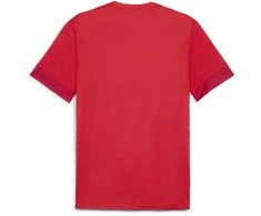 Puma Marškinėliai Vyrams TeamGoal Matchday Jersey Raudona 705747 01