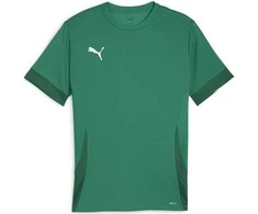 Puma Marškinėliai Vyrams TeamGoal Matchday Jersey Žalias 705747 05