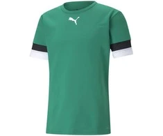 Puma Futbolo Marškinėliai Vyrams TeamRise Jersey Žalias 704932 05