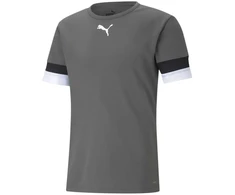 Puma Futbolo Marškinėliai Vyrams TeamRise Jersey Pilkas 704932 13