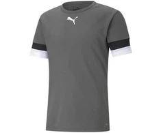 Puma Futbolo Marškinėliai Vyrams TeamRise Jersey Pilkas 704932 13