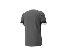 Puma Futbolo Marškinėliai Vyrams TeamRise Jersey Pilkas 704932 13