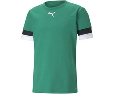 Puma Futbolo Marškinėliai Vyrams TeamRise Jersey Žalias 704932 05