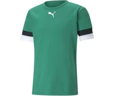 Puma Futbolo Marškinėliai Vyrams TeamRise Jersey Žalias 704932 05