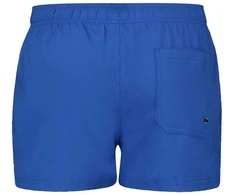 Puma Maudymosi Šortai Vyrams Swim Men Mėlyna 907658 20