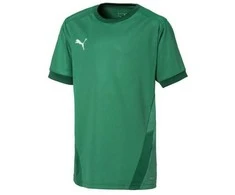 Puma Marškinėliai Paaugliams TeamGoal 23 Jerse Žalias 704160 05
