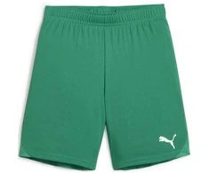 Puma Pums Šortai Paaugliams TeamGoal Shorts Jr Žalias 705753 05