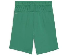 Puma Pums Šortai Paaugliams TeamGoal Shorts Jr Žalias 705753 05