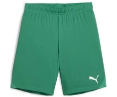 Puma Pums Šortai Paaugliams TeamGoal Shorts Jr Žalias 705753 05