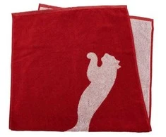 Puma Rankšluostis Team Rankšluostis Large Raudona 054553 02