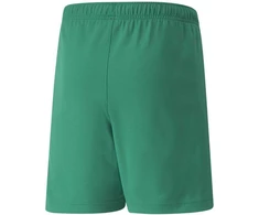 Puma Šortai Paaugliams Teamrise Short Jr Žalias 704943 05