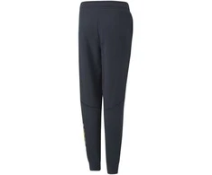 Puma Sportinės Kelnės Paaugliams Active Sports Sweatpants Tr Navy 670076 43