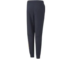 Puma Sportinės Kelnės Paaugliams Active Sports Sweatpants Tr Navy 670076 43