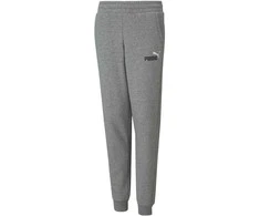 Puma Sportinės Kelnės Paaugliams Ess+ 2 Col Logo Pants Fl Pilkas 586988 03