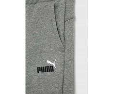 Puma Sportinės Kelnės Paaugliams Ess+ 2 Col Logo Pants Fl Pilkas 586988 03