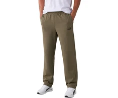 Puma Sportinės Kelnės Vyrams Ess No.1 Logo Relaxed Pants Khaki 692193 81