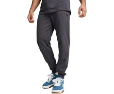 Puma Sportinės Kelnės Vyrams Rad/Cal Pants Galactic Gray 681621 69