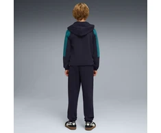 Puma Sportinis Kostiumas Paaugliams Ess Block Hooded Full-Zip Navy Mėlyna Žalias 693334 16